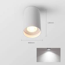 LAMPARA CILINDRICA DE TECHO BLANCO PAR30 LX