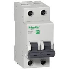 BREAKER EUROPEO 2P 32A SCHNIDER